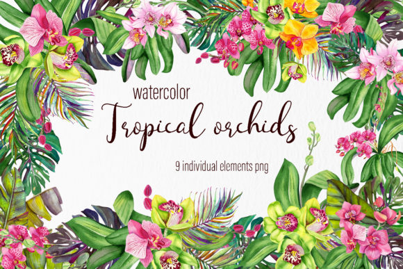 Download Watercolor Orchids Bouquet Clipart - Premium Bundle